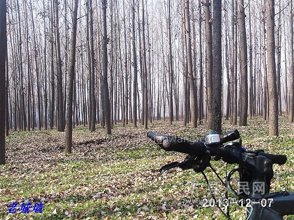 nEO_IMG_PHOT0050.jpg