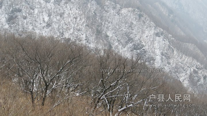 IMG_3298.jpg