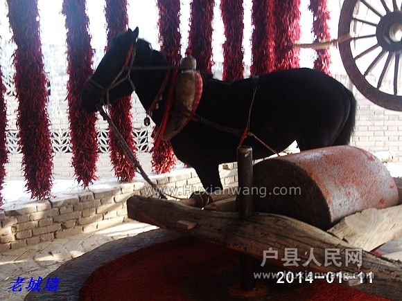 nEO_IMG_PHOT0107.jpg