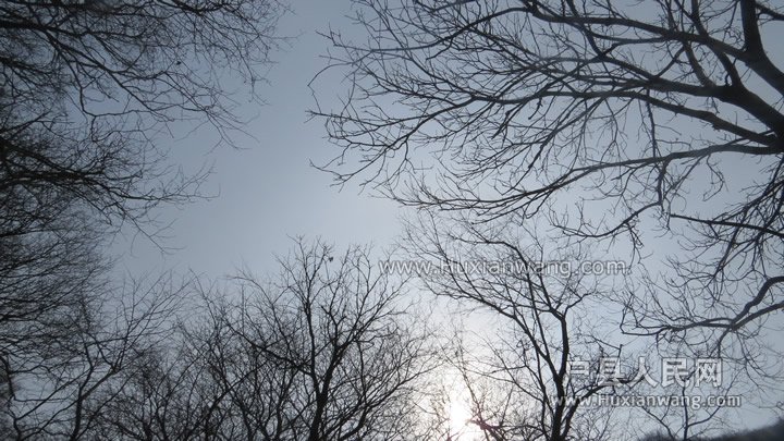 IMG_3215.jpg