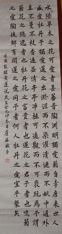 DSC02668.JPG