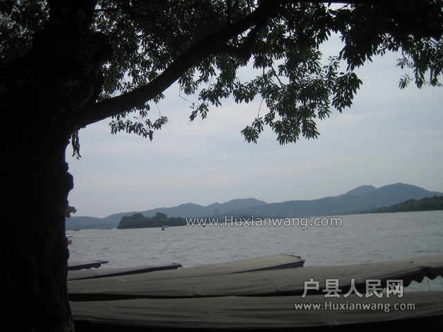 IMG_0136.jpg