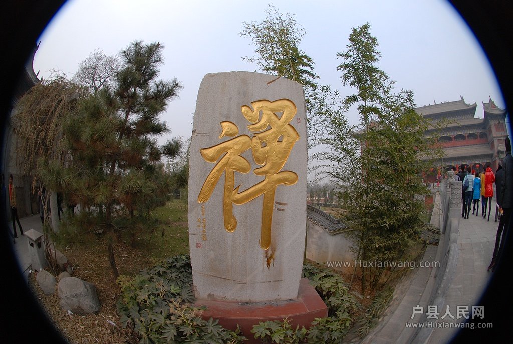 DSC_0471.JPG