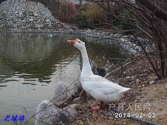 nEO_IMG_PHOT0106.jpg