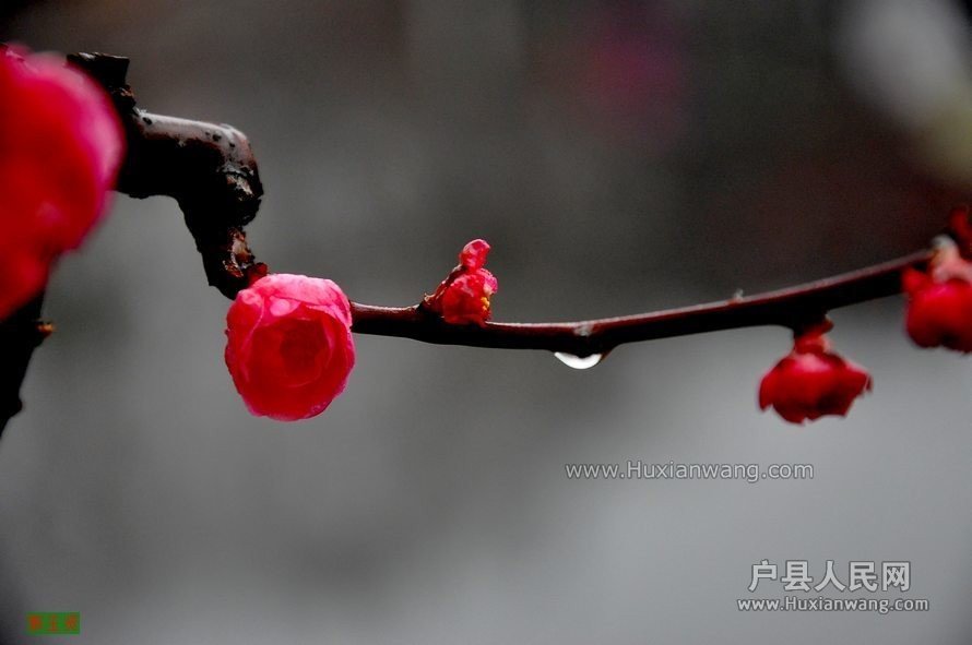 QQͼƬ20140221112714.jpg
