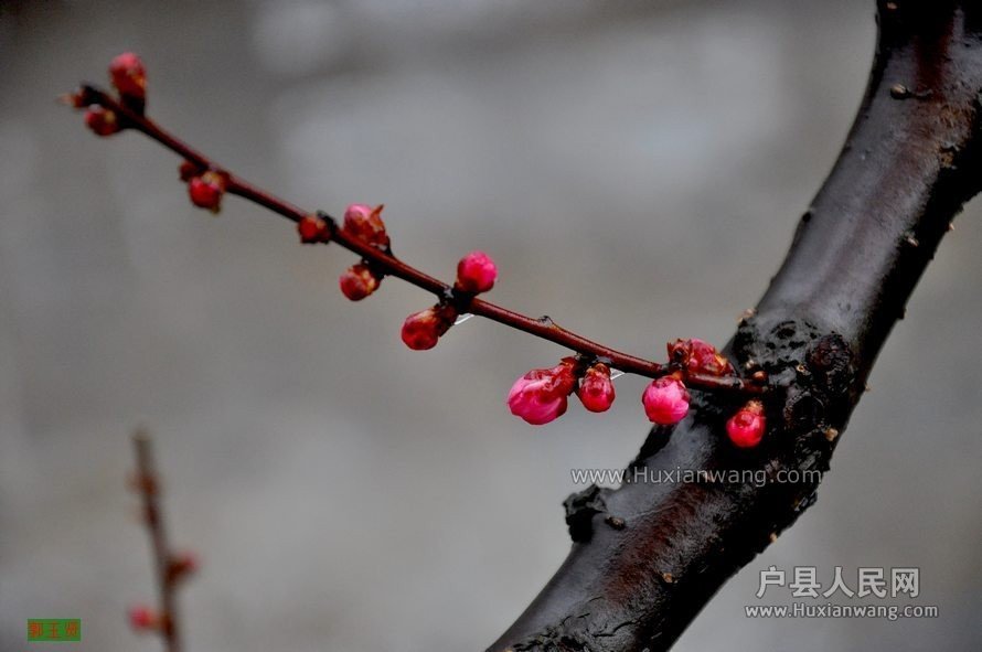 QQͼƬ20140221112903.jpg