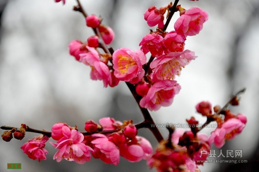 QQͼƬ20140221112855.jpg