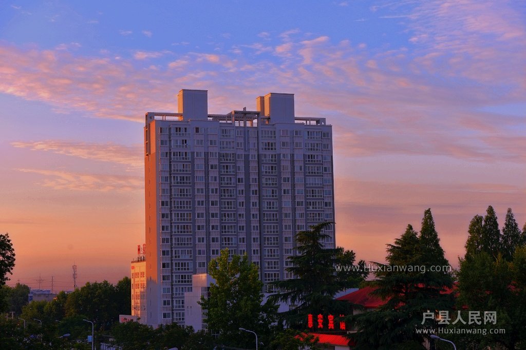DSC_1208.jpg-1.jpg