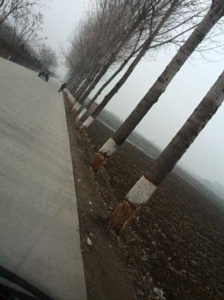QQͼ20140303175511.jpg