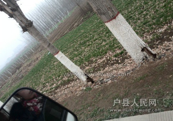 QQͼ20140303175522.jpg