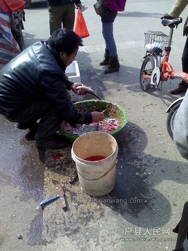 IMG0309104700.jpg