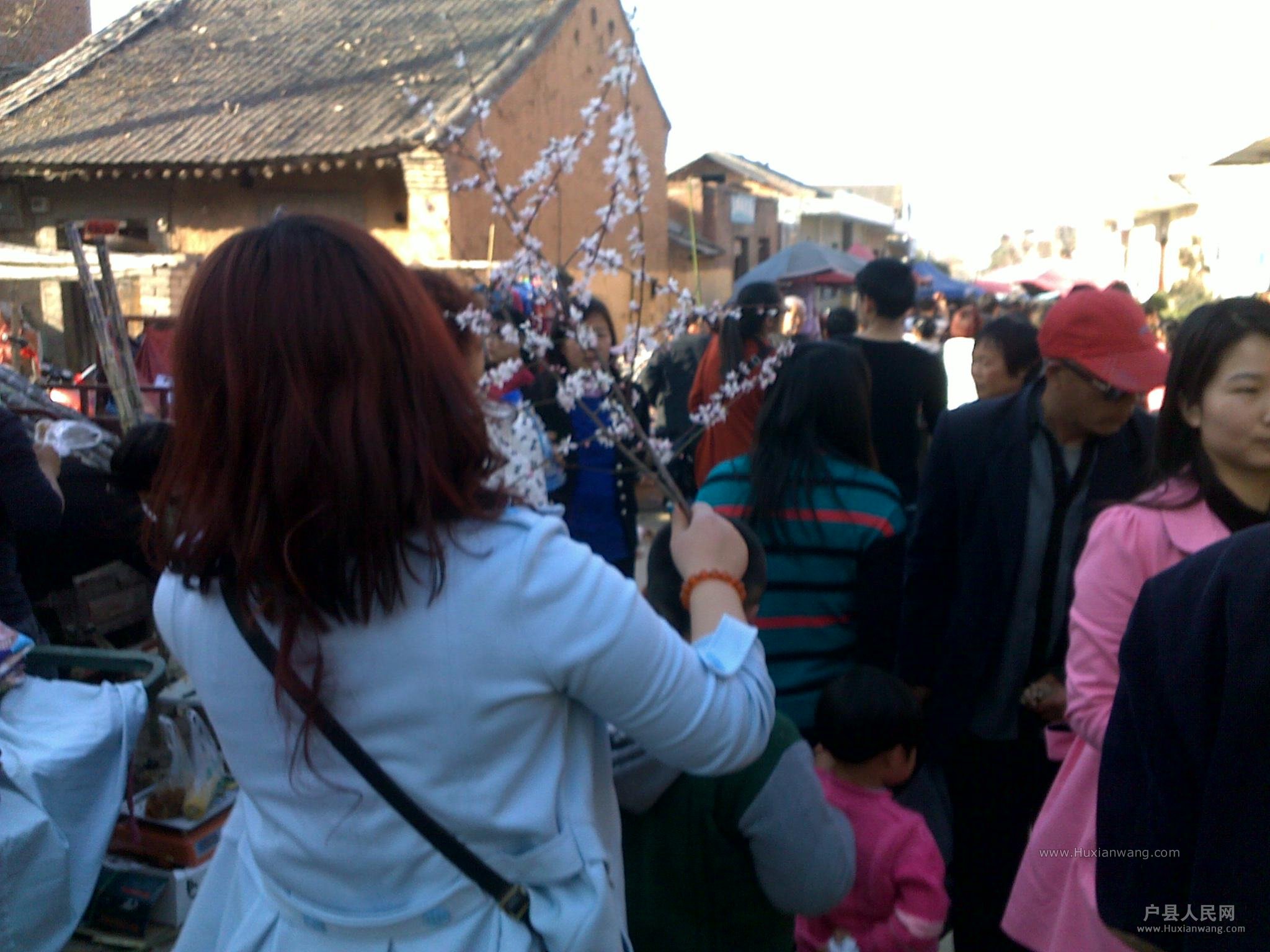 201403152177.jpg