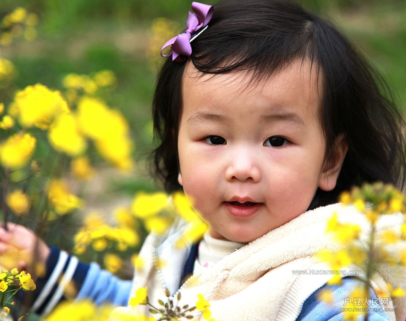 IMG_3497 [ֱ].JPG