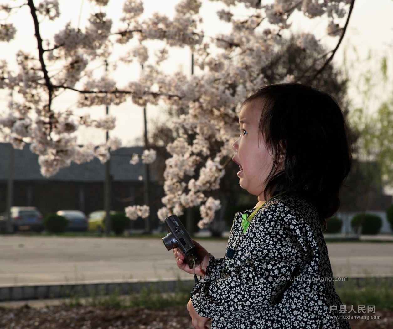 IMG_4184 [ֱ].JPG