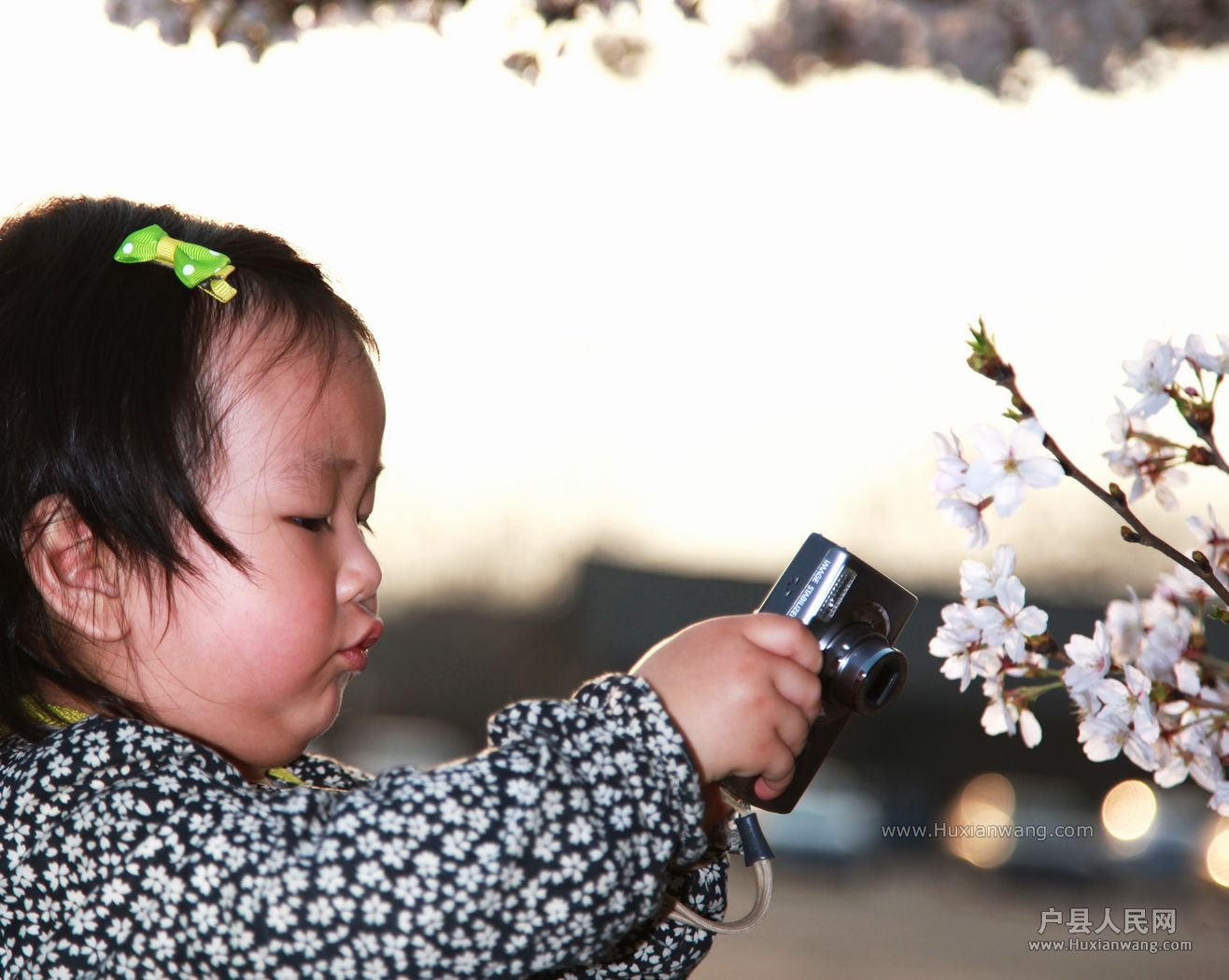 IMG_4190 [ֱ].JPG