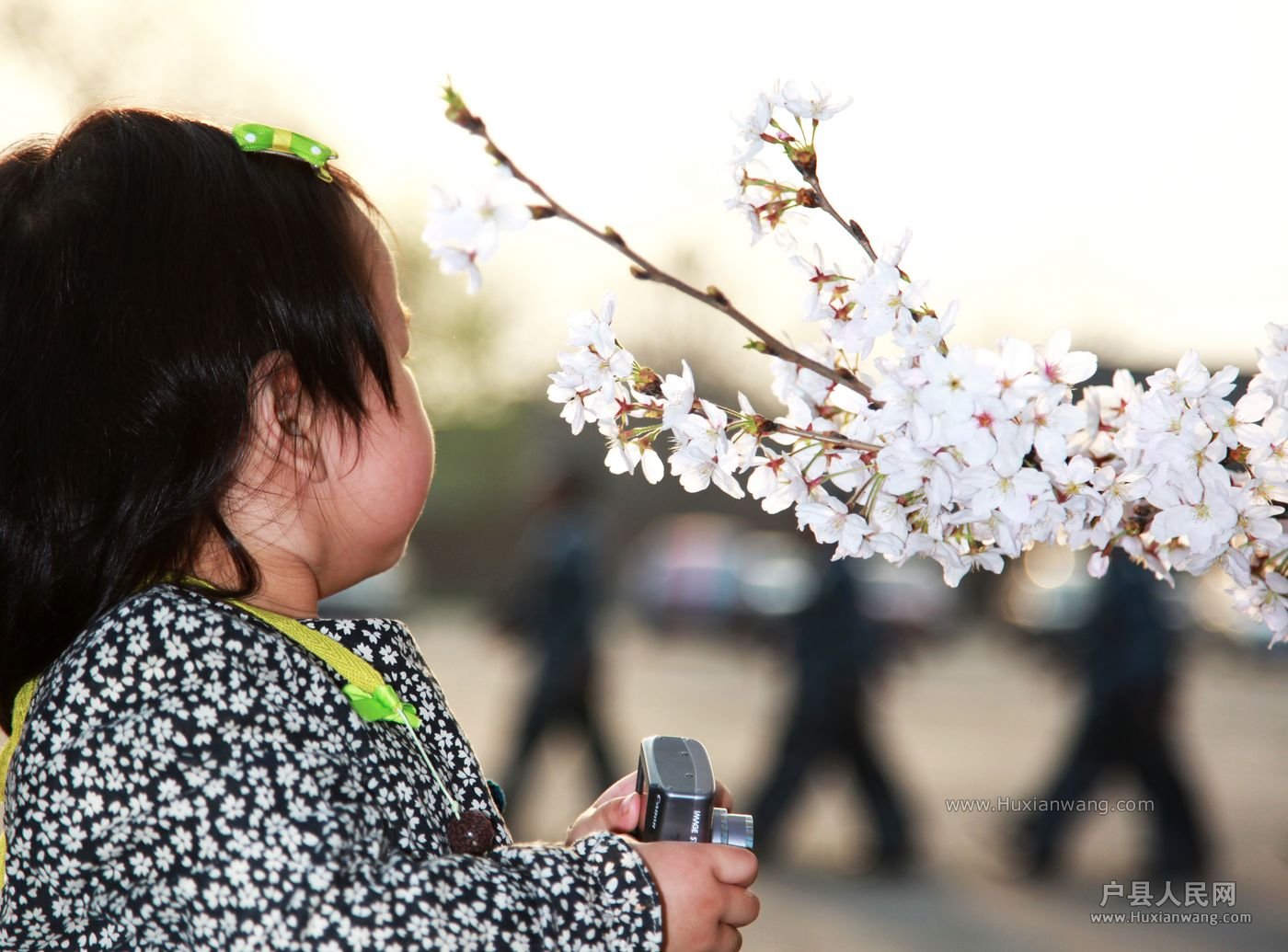 IMG_4192 [ֱ].JPG
