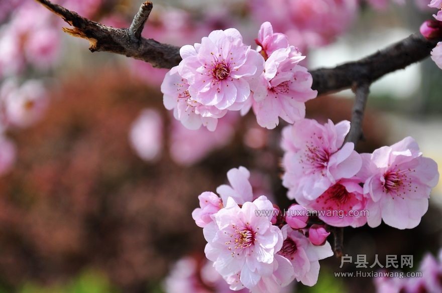 QQͼƬ20140328113255.jpg