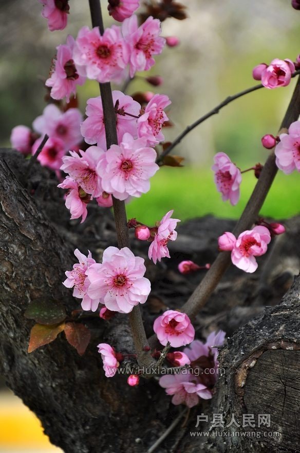 QQͼƬ20140328113317.jpg