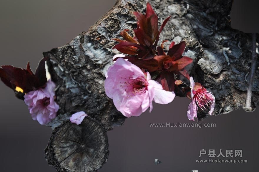 QQͼƬ20140328113353.jpg