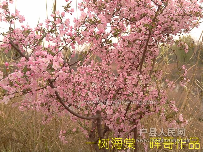 һ4.jpg