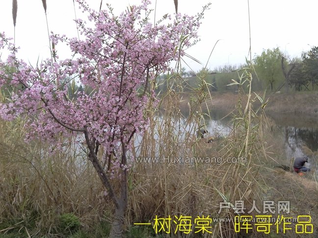 һ5.jpg