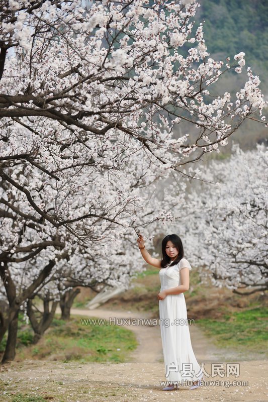 nEO_IMG_DSC_5960.jpg
