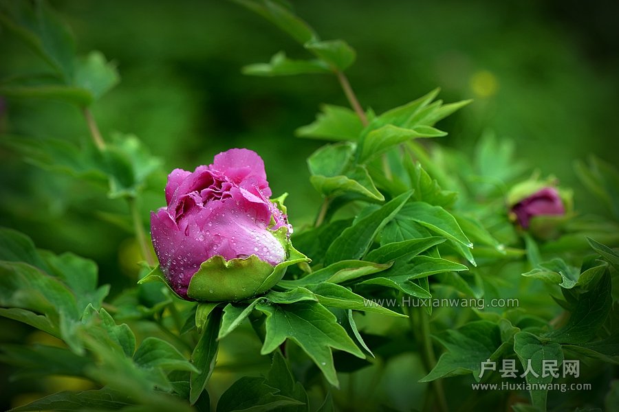 DSC_1363_.jpg