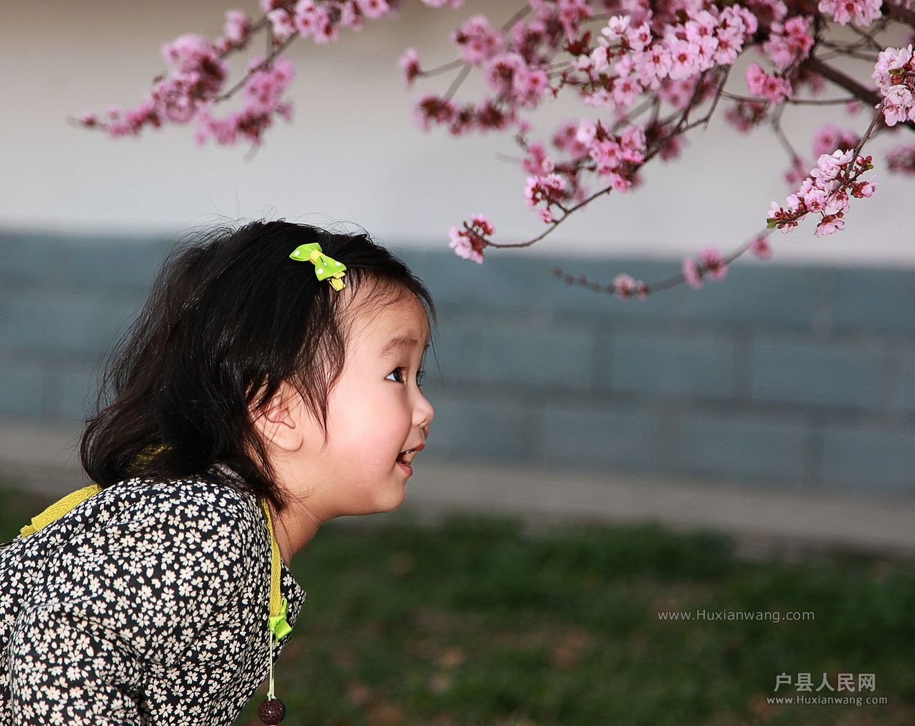 IMG_4272 [ֱ].JPG