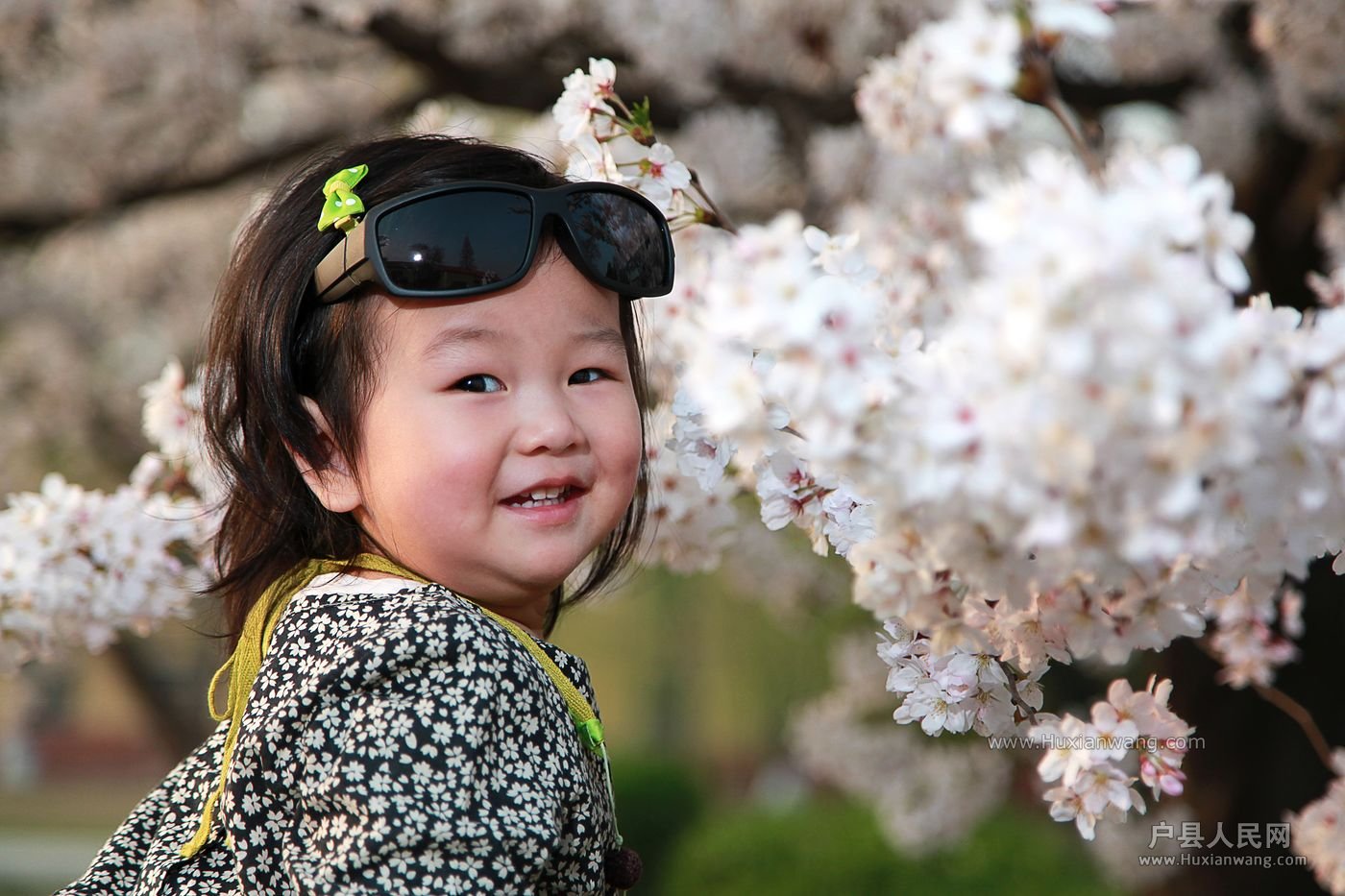 IMG_4200 [ֱ].JPG