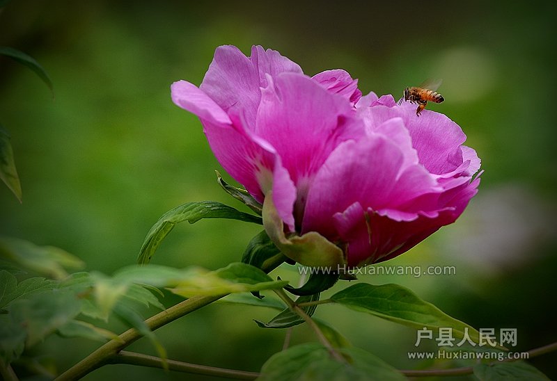 DSC_1859_.jpg