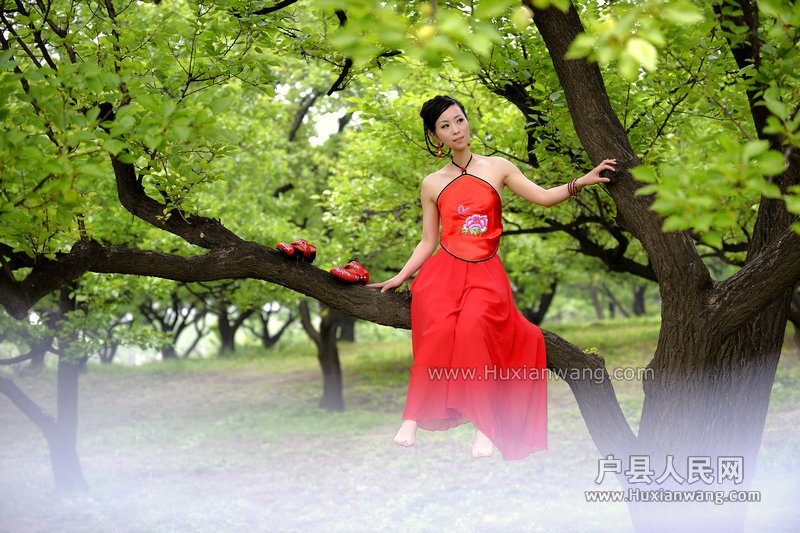 nEO_IMG__DSC8073.jpg