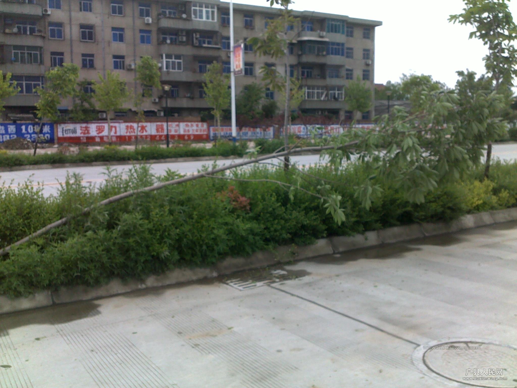201404252375.jpg