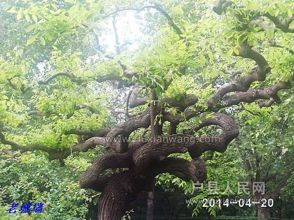 nEO_IMG_PHOT0061.jpg