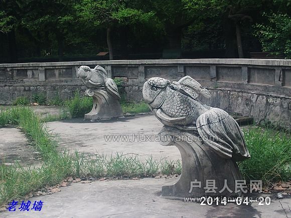 nEO_IMG_PHOT0065.jpg