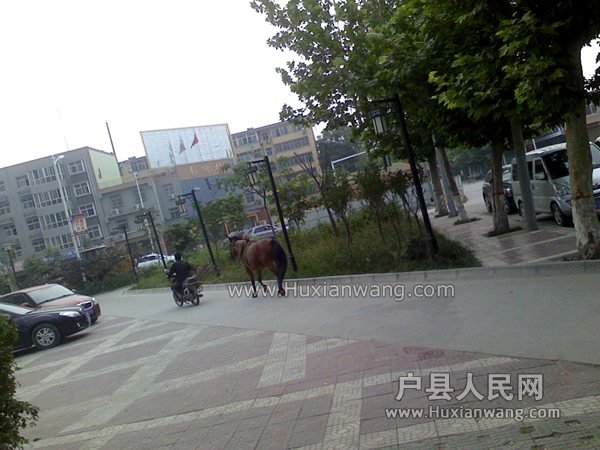 IMG0603184000.jpg