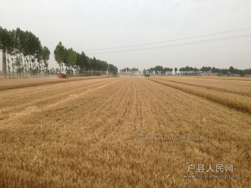 QQͼƬ20140610081226.jpg