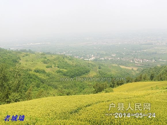 nEO_IMG_PHOT0037.jpg