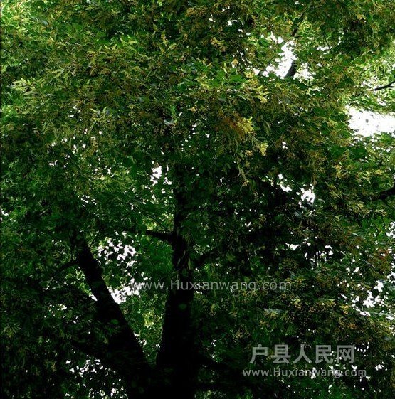 20111111122521_46.jpg