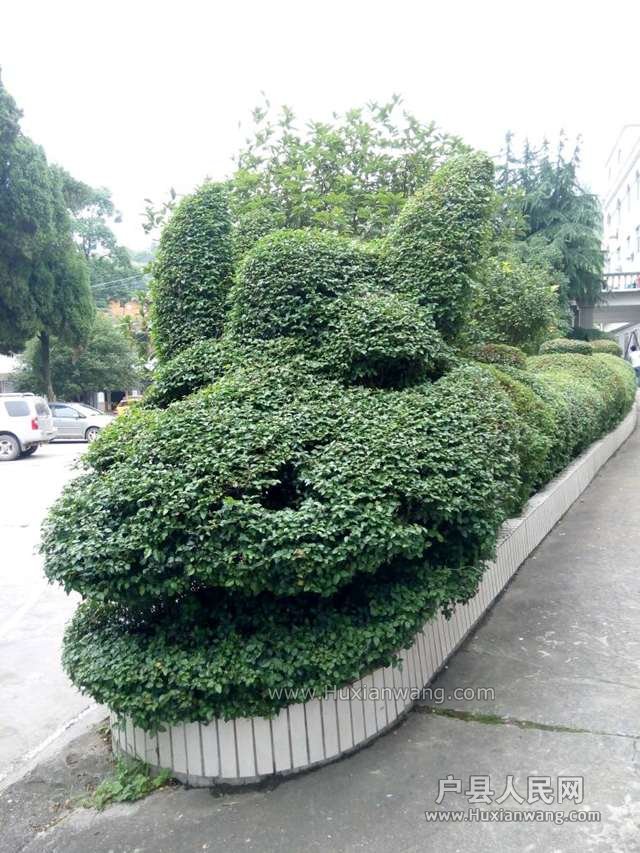 2000_.jpg