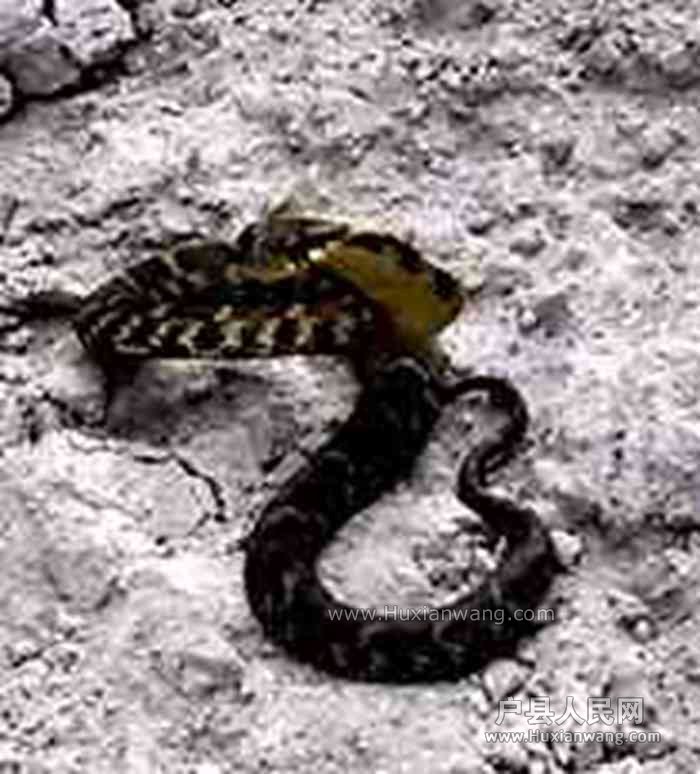 IMG_20140621_175055.jpg