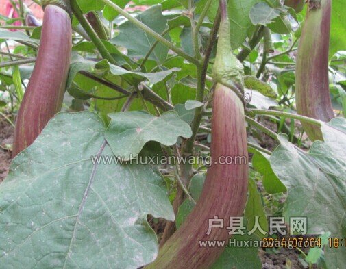 QQͼƬ20140704232244.jpg