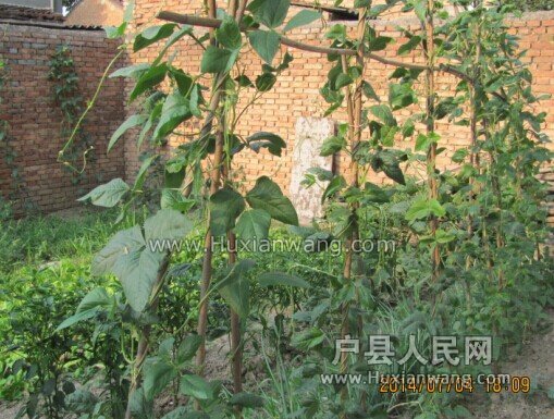 QQͼƬ20140704232535.jpg