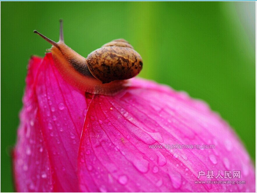 QQͼƬ20140715145859.jpg