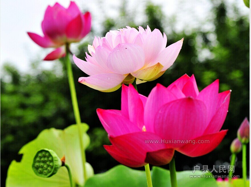QQͼƬ20140715145921.jpg