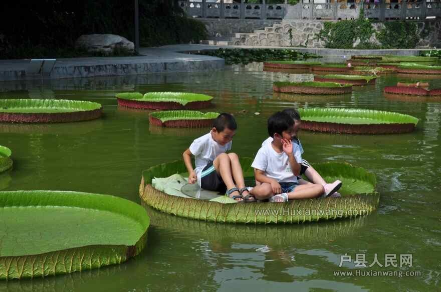QQͼƬ20140718115252.jpg