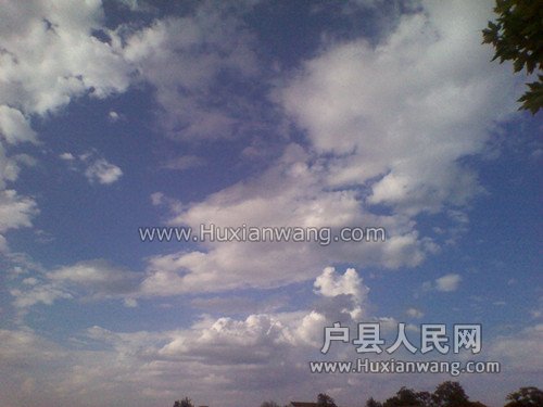 IMG_20140719_173514_.jpg