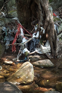 DSCF7223.JPG