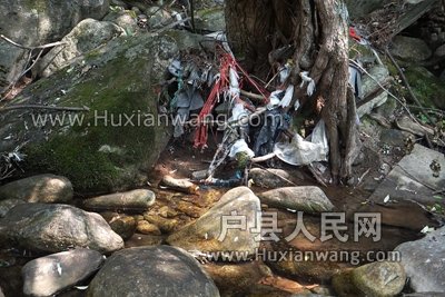 DSCF7224.JPG