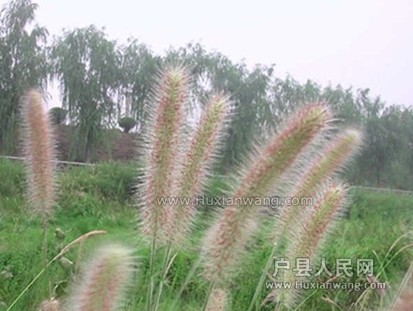 DSCN2144.JPG