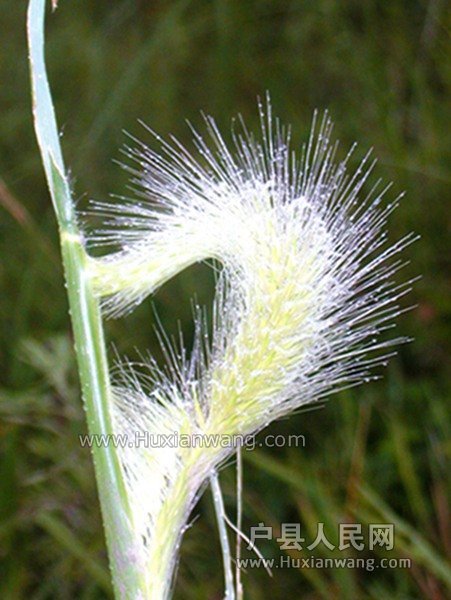 DSCN2075.JPG